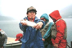 �u�Q�ʁv �c�� ����