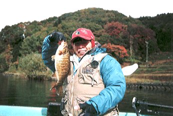 �u�Q�ʁv �s�� �V�s