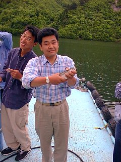 �u�Q�ʁv ���� �ەv