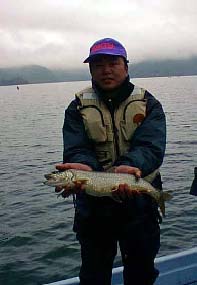 �u�R�ʁv ���� ���I