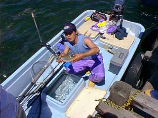 �u�R�ʁv ���� �h�L