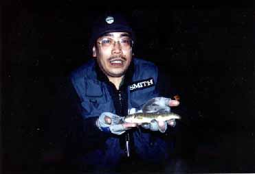 �u�R�ʁv �r�J ���A