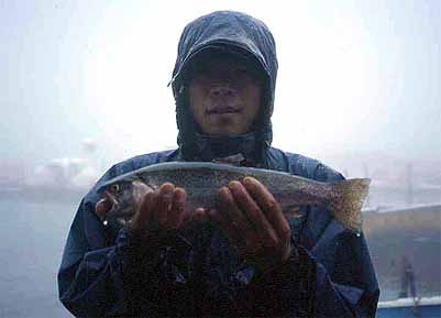 �u�D���v �s�� �V�s