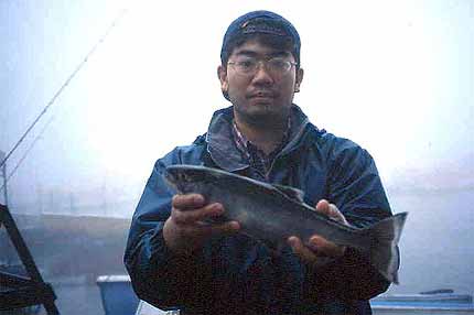 �u�R�ʁv �R�{ ���I